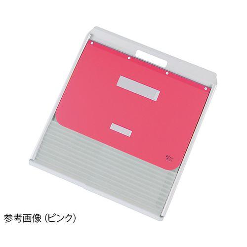 ケルン カーデックス（アルミタイプ・PP製ポケット） ポケット10枚付 ピンク KD501 取り寄せ商品