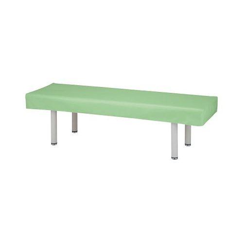 ナビス（アズワン） 診察台レザーカバー 600×1900mm ライムグリーン (1枚)(LG-6019) 取り寄せ商品