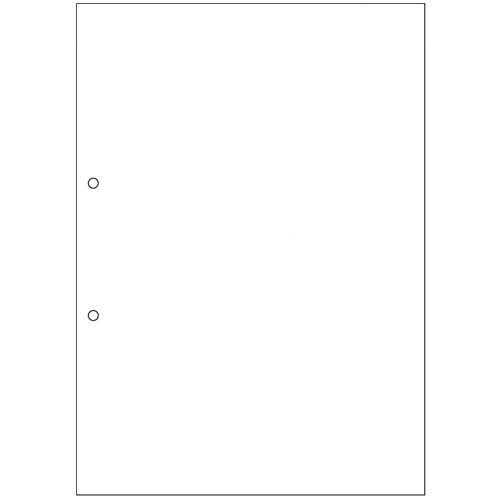 TPS マルチプリンタ帳票 FSC認証紙 複写 A4 NC 白紙 2穴 1箱(500枚:100枚×5冊)(FSCFT2001) 目安在庫=○