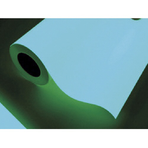 中川ケミカル 中川ケミカル 蓄光ルーナシート25mm幅×10m 1巻(0025RUNA10) 目安在庫=○ 6,573円