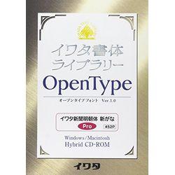 イワタ イワタOTF 新聞明朝体新がな プロ版(対応OS:WIN&amp;MAC)(452P) 取り寄せ商品