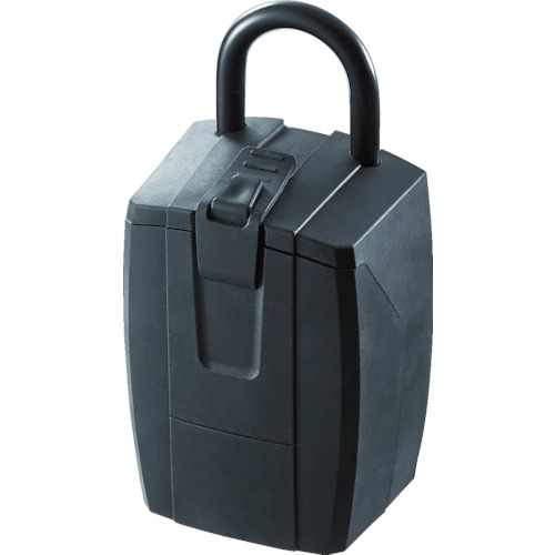 ダイケン ボックス付南京錠 キー保管ボックス 1個(DK-N500) 取り寄せ商品