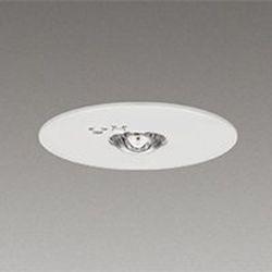 東芝 (TOSHIBA) OWL-ADCMFM-CG(LEDEM30221M) 取り寄せ商品