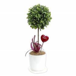 タカ印 人工観葉植物　ボックスウッド　Ｓサイズ(32-8704) 取り寄せ商品