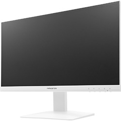 プリンストン 21.5型ワイドカラー液晶ディスプレイ/1920×1080/HDMI、D-Sub、DisplayPort(PTFWLG-22W) 目安在庫=△
