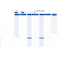 オービックビジネスコンサルタント ♡6202 単票封筒用支給明細書900枚