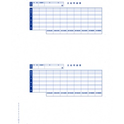 オービックビジネスコンサルタント 単票封筒用支給明細書(09-SP6202