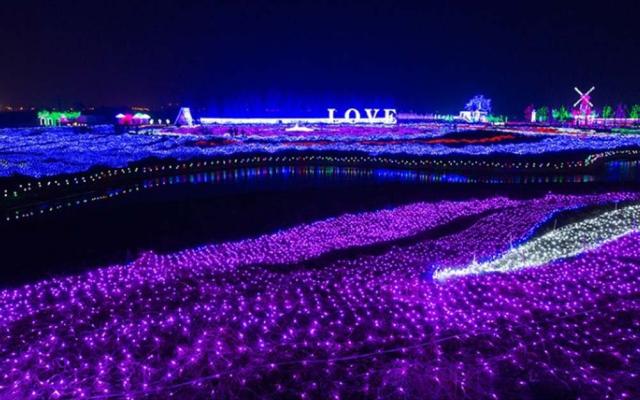 イルミネーションライト 屋外 ネットライト　6m*4m  5本セット　インテリアライト クリスマス飾り  防水  屋外対応  8つ点灯パターン_6