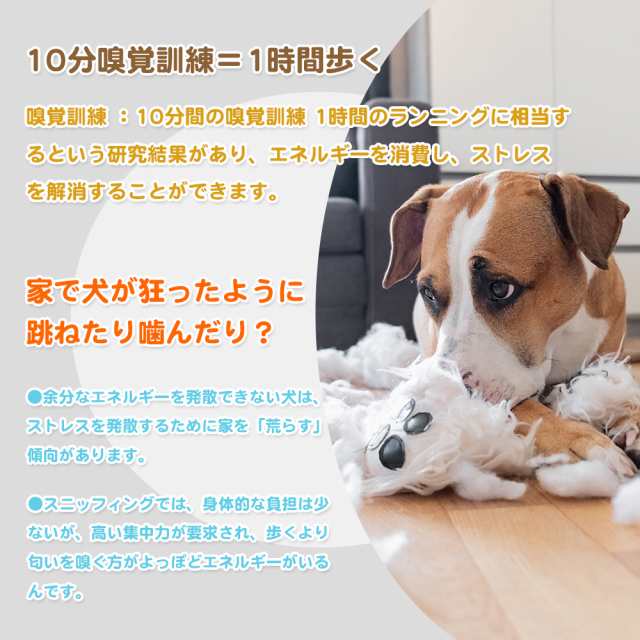 歩く犬様専用　2枚