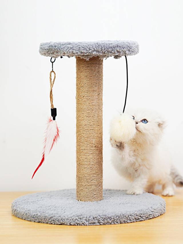 「即納」キャットタワー キャットツリー 猫タワー おしゃれ 猫ハウス 据え置き 爪とぎ ネコ 猫用 運動不足 ストレス解消 安定性抜群 大型猫 