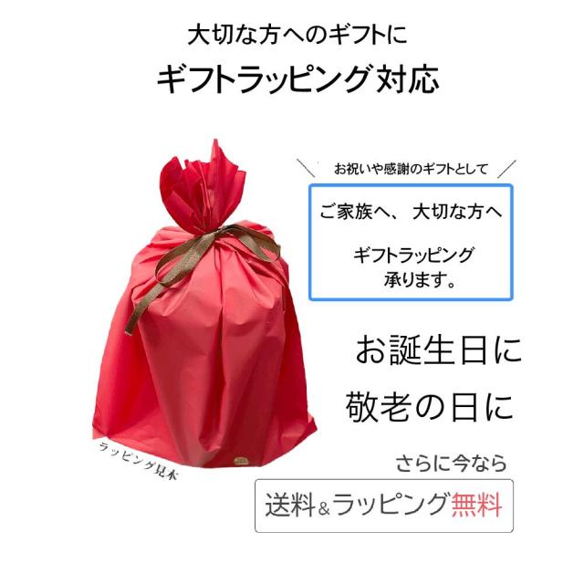 【6日間限定 34％OFFセール】母の日 集音器 骨伝導 ワイヤレス イヤホン ヘッドフォン 両耳 CODEON コデオン おすすめ Bluetooth 充電式 軽量 コードレス 高齢者 テレビ はっきり聞こえる よく聞こえる 聞こえやすい プレゼント 贈り物 敬老 米寿 還暦 父の日