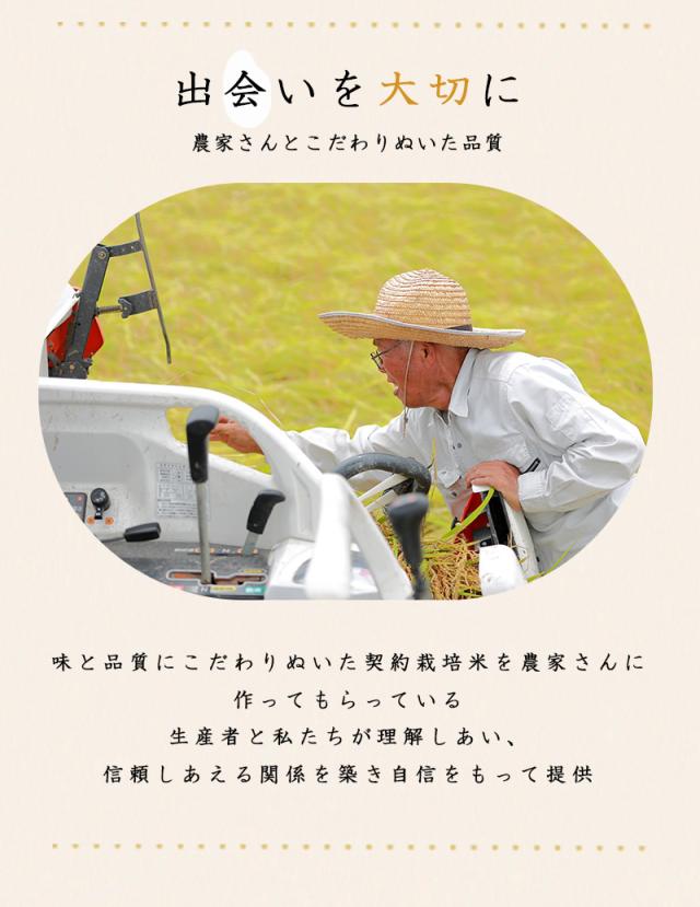 令和7年産 ほほえみ米 国内産 10kg (5kg×2個) お米 お徳用 オリジナル 