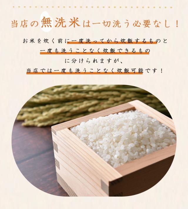 令和7年 岡山県産 きぬむすめ あきたこまち 無洗米 特A 10kg (5kg×2個 