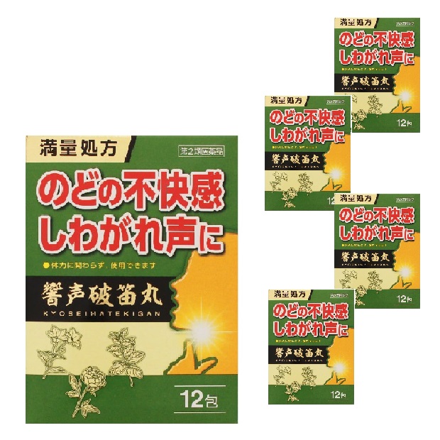 【第2類医薬品】響声破笛丸 12包 5個セット のど しわがれ声 カラオケ ガラガラ声 ここ一番に 不快感 漢方 生薬