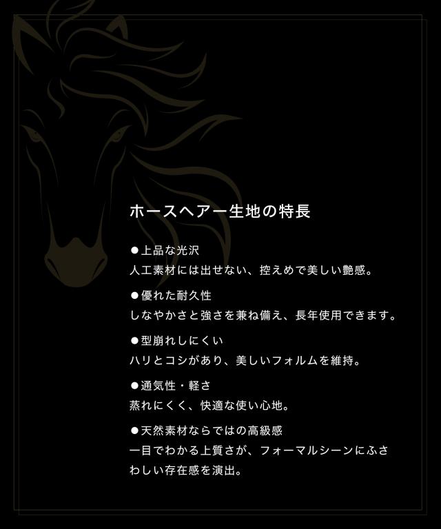 フォーマルバッグ ホースヘアー レディース 日本製 国産 ブランド 葬儀 弔事 冠婚葬祭 黒 葬式 喪服 バッグ フォーマル 葬儀用バッグ 喪服用バッグ 葬式バッグ ハンドバッグ 法事 ブラック 和装 喪バッグ 上品 おしゃれ 葬儀バッグ 告別式 30代 40代 50代 60代 岩佐 60336_5