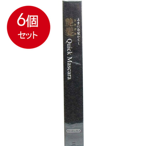 【6個まとめ買い】 上手に白髪かくし 艶髪 クイックマスカラ ソフトブラック 15g 送料無料 × 6個セット