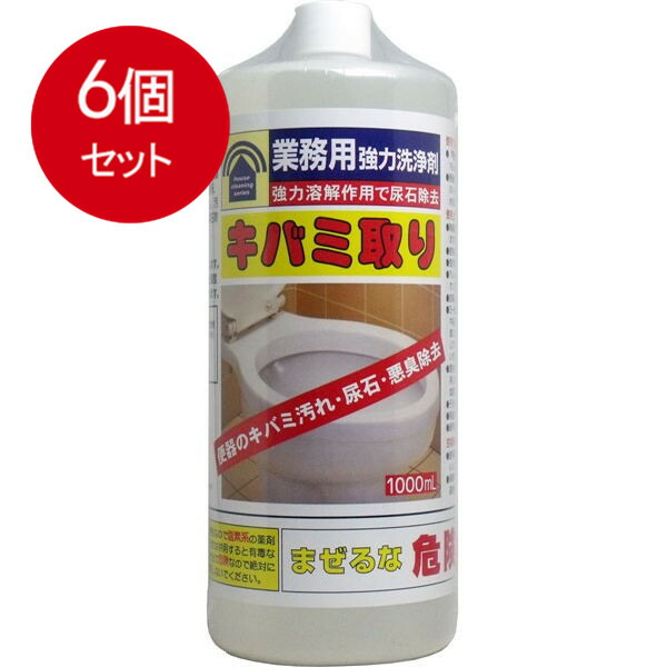 【6個まとめ買い】 業務用強力洗浄剤 キバミ取り 1000mL送料無料 × 6個セット