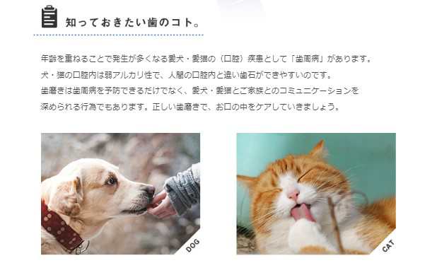 2個セット トーラス ボーダン 犬猫用オーラルケア 歯磨きウォーター