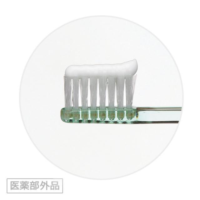 10個セット ライオン チェックアップ スタンダード 135g マイルドシトラスミント 1450ppm 歯磨き粉 はみがきこ フッ素 歯磨き粉 歯磨剤_2