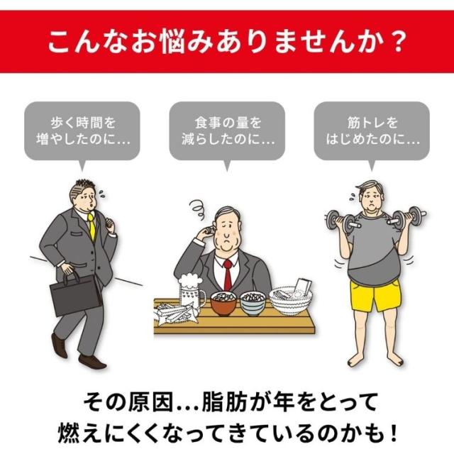 第2類医薬品 2個セット 小林製薬 ナイシトールZa 315錠 肥満症改善