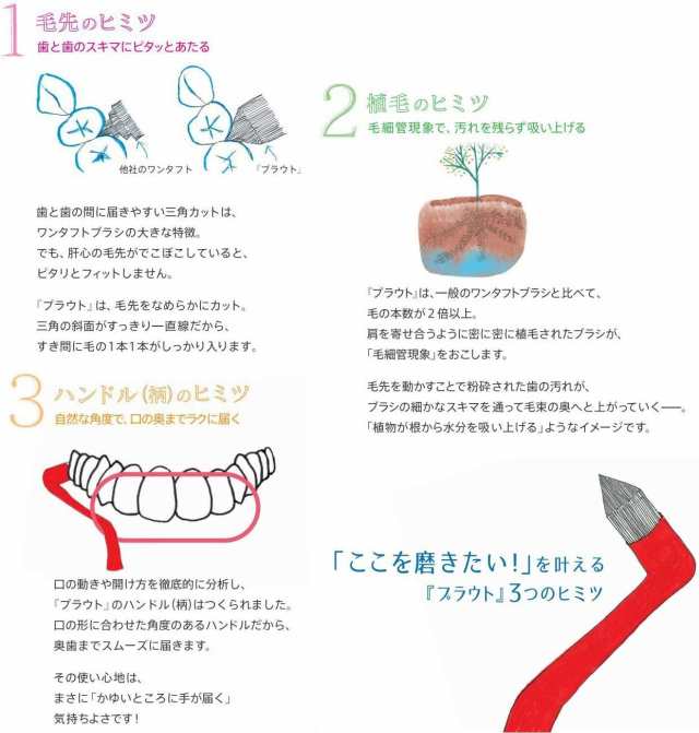 4本セット オーラルケア プラウト Plaut M/MS/S ミディアム ミディアムソフト ソフトの通販はau PAY マーケット くらし応援本舗  au payマーケット店（くらしドラッグ） au PAY マーケット－通販サイト