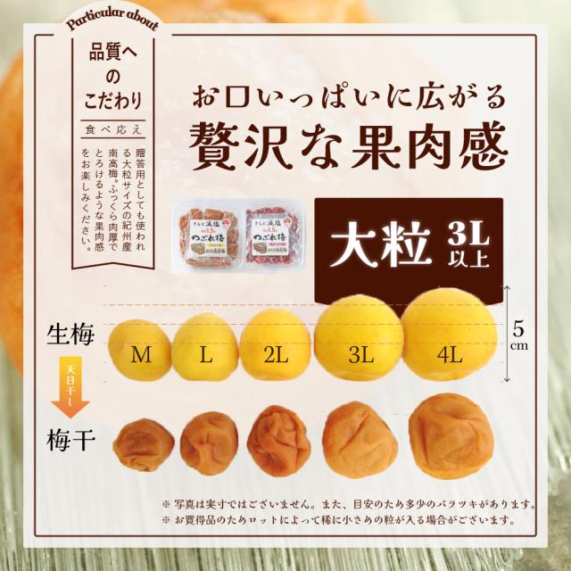 梅干し 減塩 塩分1.5% 甘い はちみつ しそ 漬け 味 270g×12個(3.24kg) 大量 セット 紀州産南高梅 つぶれ梅 訳あり 大粒 完熟梅 国産 紀州南高梅 【トノハタ公式】｜ 低塩 お徳用 お得 天然塩 天日塩 梅干 和歌山 お取り寄せ グルメ 食品 おすすめ 人気 高級 送料無料_11