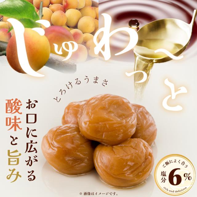 梅干し 訳あり つぶれ 梅 紀州 南高梅 塩分6% 大粒 完熟梅 贅沢 国産 こくの梅 300g×12 パック (3.6kg) セット 【トノハタ公式】 焼き あごだし お試し 安心 低塩 減塩 塩分控えめ お徳用 お得 天然塩 天日塩 梅干 和歌山 お取り寄せ グルメ 食品 食べ物 おすすめ 人気 高級_2