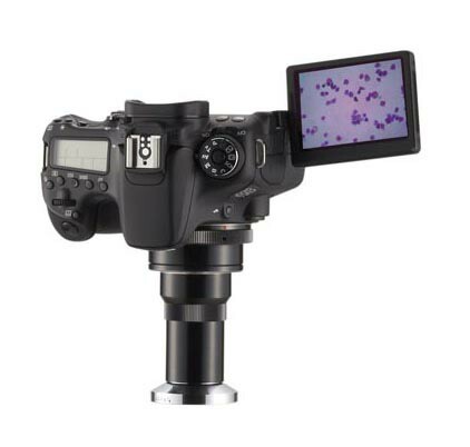 キヤノン一眼レフデジタル画像システム EOS 90Dの通販は