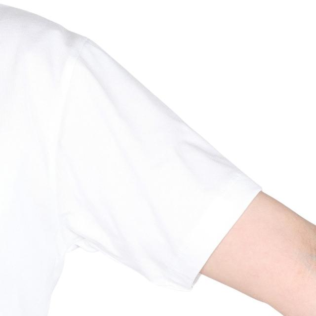 ノースフェイス ショートスリーブフラッシュドラ　イヌプシコットンティー トレッキング カットソー NTW32536 W