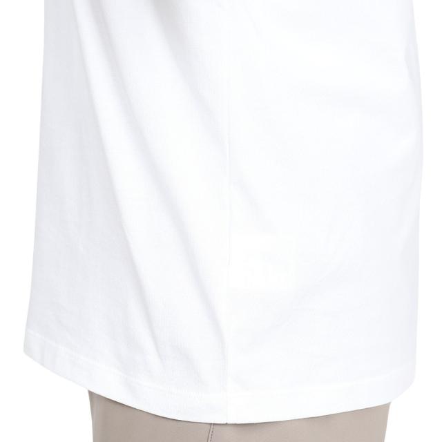 ノースフェイス ショートスリーブフラッシュドラ　イヌプシコットンティー トレッキング カットソー NTW32536 W