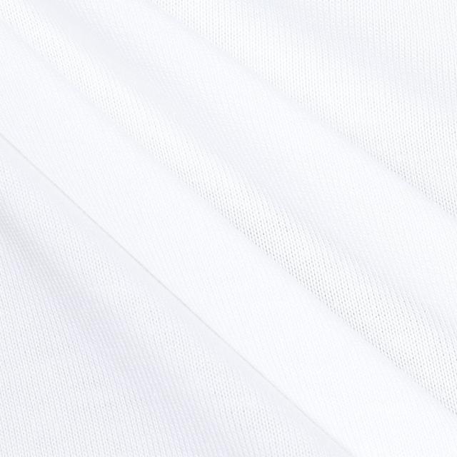 ノースフェイス ショートスリーブフラッシュドラ　イヌプシコットンティー トレッキング カットソー NTW32536 W