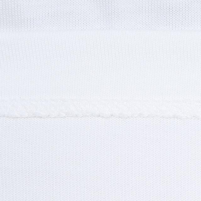 ノースフェイス ショートスリーブフラッシュドラ　イヌプシコットンティー トレッキング カットソー NTW32536 W