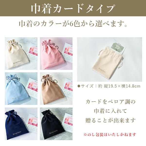 カタログギフト 内祝い チョイスギフト コレクション アイネスコース 20800円コース マイプレシャス 巾着カードタイプ ギフトカタログ グルメ 出産祝い 結婚祝い 快気祝い 退職祝い おしゃれ 引き出物 引出物 法人 企業 記念品 お歳暮 御歳暮 お年賀 お年始_1