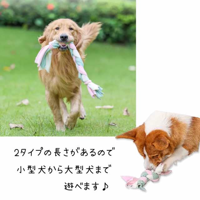 卸直営 犬 おもちゃ ボール 壊れない ノーズワーク 知育玩具 噛むおもちゃ 犬用 ペット おやつボール 動く 知育 歯磨きボール 