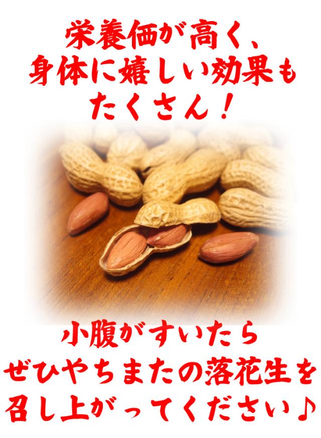 令和7年新豆 落花生 ピーナッツ 千葉県 やちまた産 からつき 120g×6袋