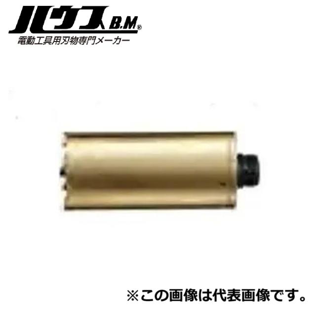 ハウスビーエム AMB-280 スーパーハードコアボディ ハウスBM
