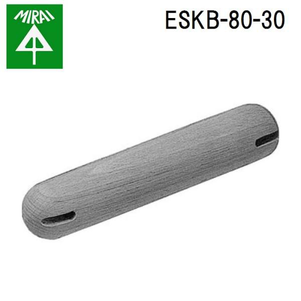未来工業 ESKB-80-30 ESP用試験棒 1個 MIRAIの通販は