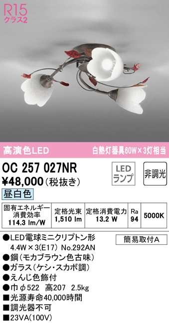 (送料無料) オーデリック OC257027NR シャンデリア LEDランプ 昼白色 非調光 ODELIC