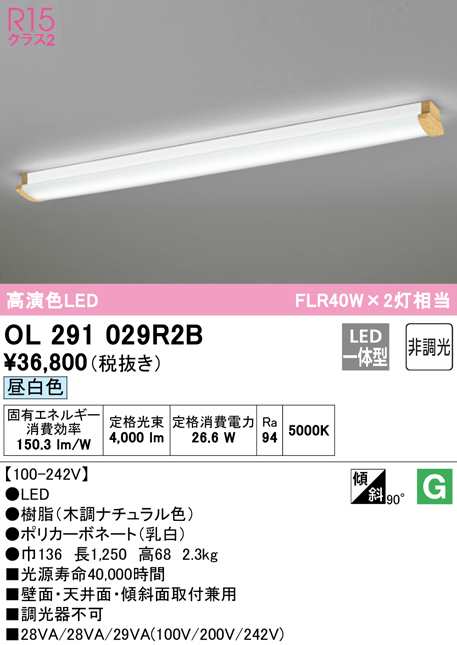 (送料無料) オーデリック OL291029R2B キッチンライト LED一体型