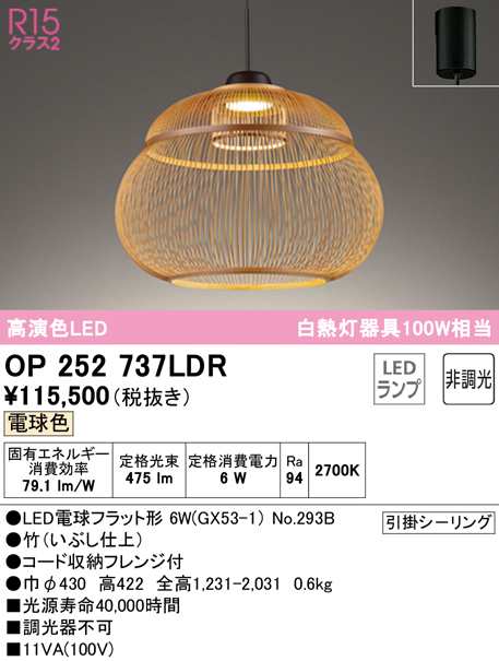 (送料無料) オーデリック OP252737LDR ペンダントライト LEDランプ 電球色 非調光 ODELIC