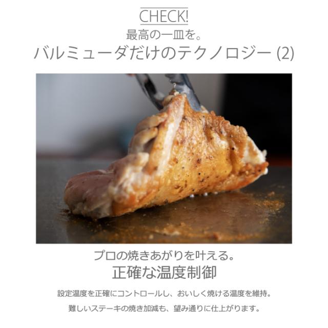 バルミューダ K10A-BK バルミューダ ザ プレート プロ ステンレス 