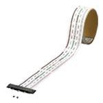 パナソニック NE23112MB パナトラックF型Sブランチ(2m) 上・下面保護シート付マットブラック Panasonic