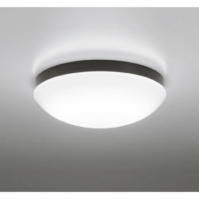 オーデリック OW269050NR 屋外用LED共用灯 FCL20W相当 昼白色 壁面・天井面・傾斜面取付兼用 ODELIC