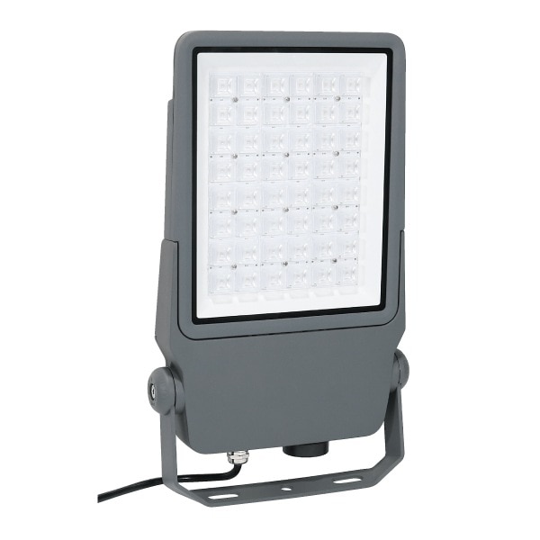 カターレ富山 脇本 晃成 支給品 長袖 直筆サイン入り