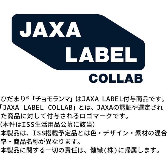 ひだまり チョモランマ QMS951 紳士ズボン下 Mサイズ ネイビー 身長