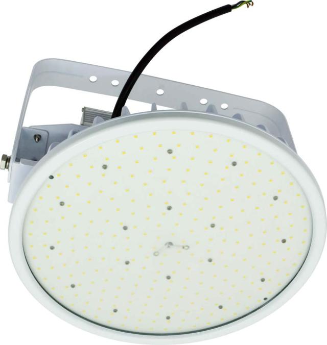 日動工業 L300V2-P-HW-50K ハイディスク 300W NICHIDOの通販は