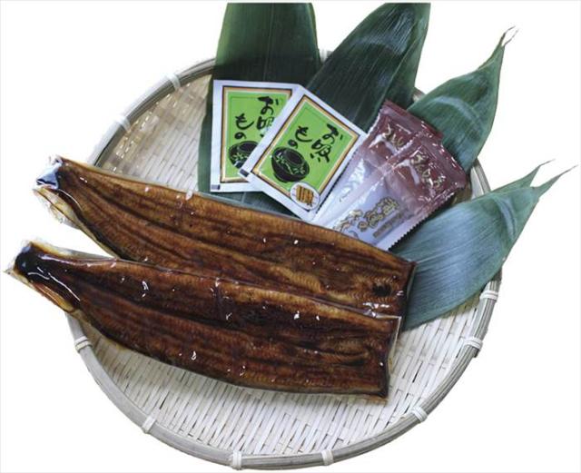 2025KMJ01 浜松・浜名湖産うなぎ蒲焼(長焼き2尾) ギフト 内祝い 贈り物 贈与品 プレゼント お返し (代引不可)の通販は