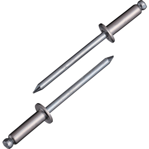 エビ NSS66 ブラインドリベット(ステンレス/スティール製) 6-6(1000本入) 箱入  リベット LOBSTER ロブテックス LOBTEXの通販は