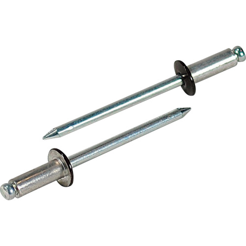 エビ CNSA52BR カラーリベット ブロンズ 5-2 (1000本入)  リベット LOBSTER ロブテックス LOBTEX