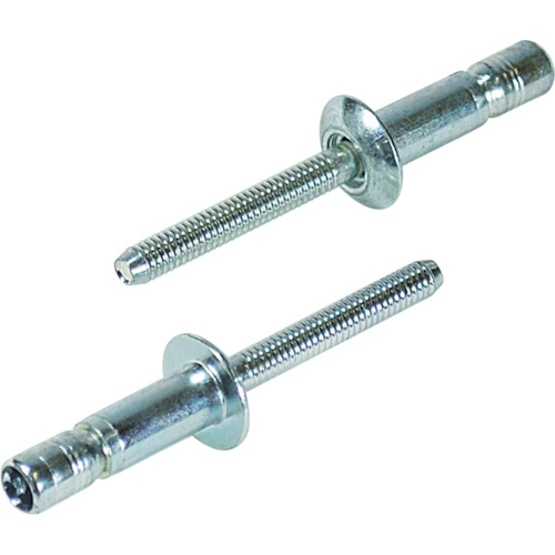 エビ SNS48110 高強度ブラインドリベット Sボルト(丸頭) Φ4.8/板厚11.0mm (500本入)  リベット LOBSTER ロブテックス LOBTEXの通販は
